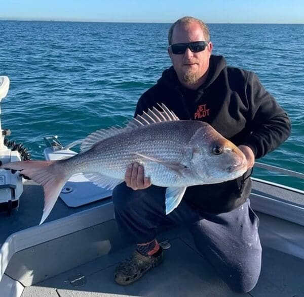 AUTHOR - QUALITY MORETON BAY SNAPPER