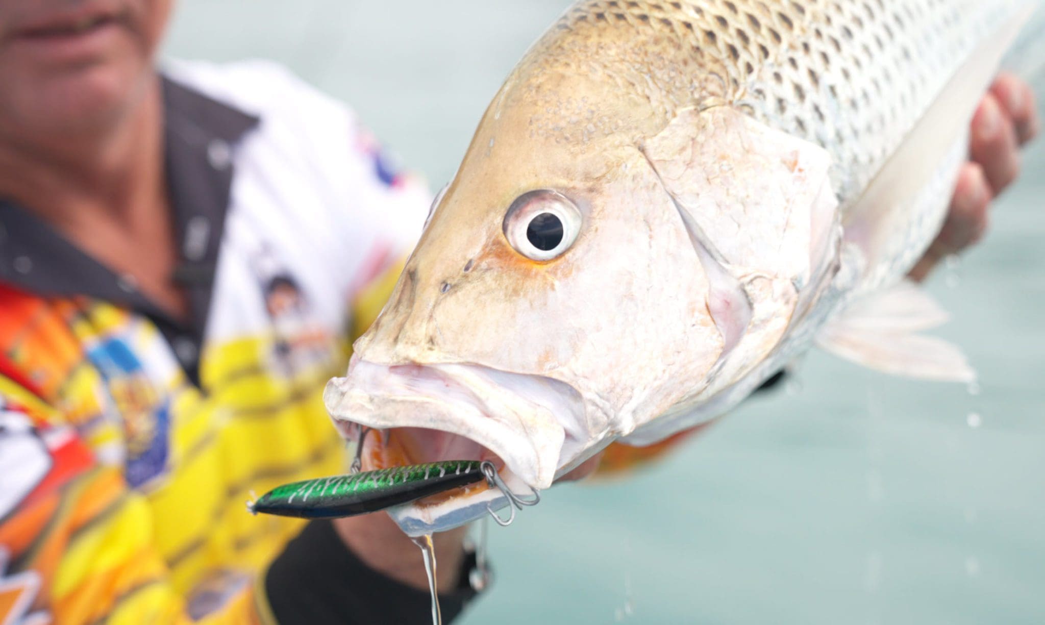  Fingermark fish caught on a Pillager sinking stick bait.