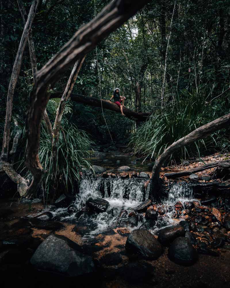 Woman on tree in rainforest