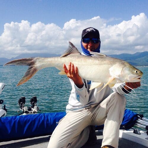Threadfin Tactics - Andrew Haratsis
