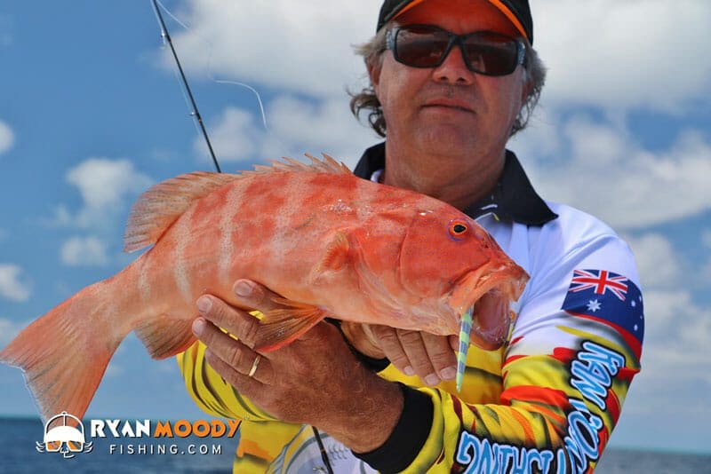 Catching coral trout on a slow pitch jig