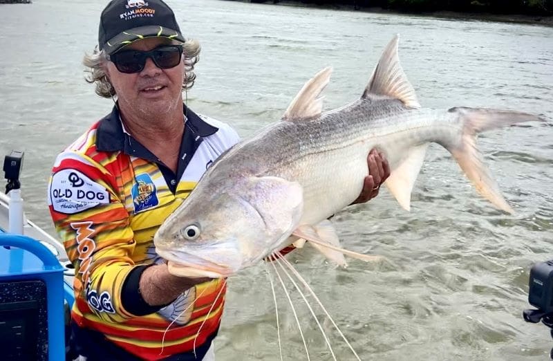 Fitzroy River King Threadfin