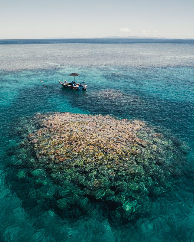 Stunning coral bommie drone shot