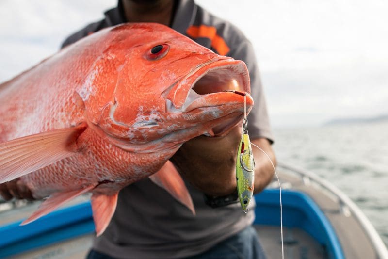 Fresh fish for our fresh fish recipe