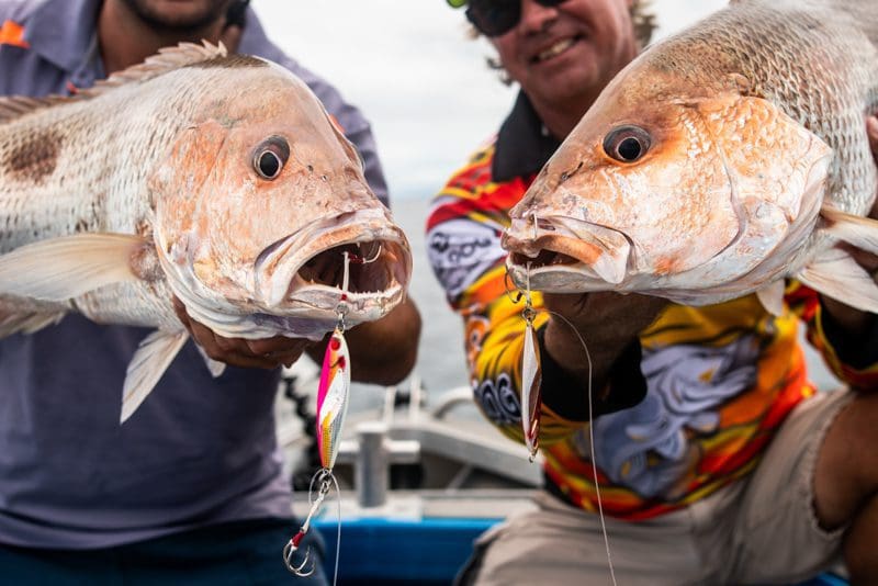 These lures can be used to catch a variety of demersal and pelagic fish.