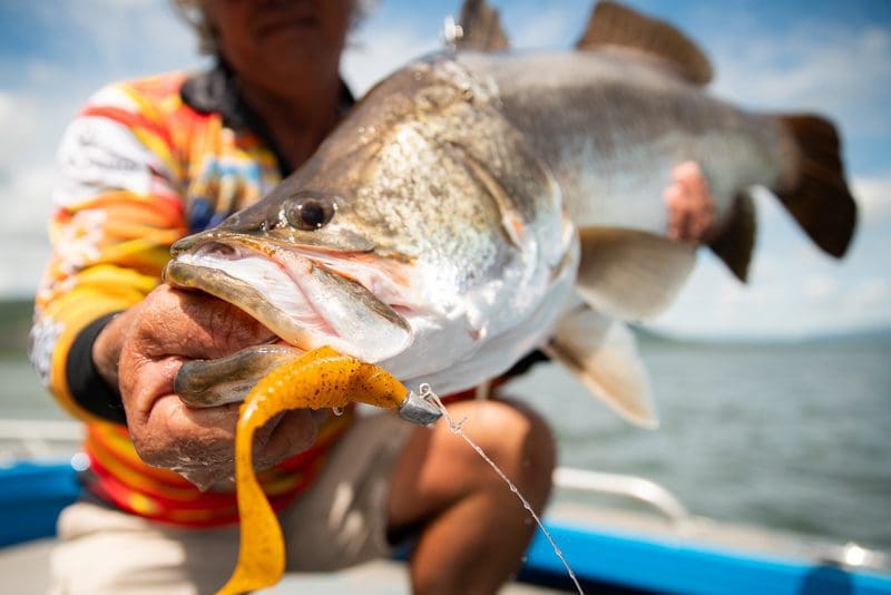 Best lure catching Proserpine Dam Barramundi