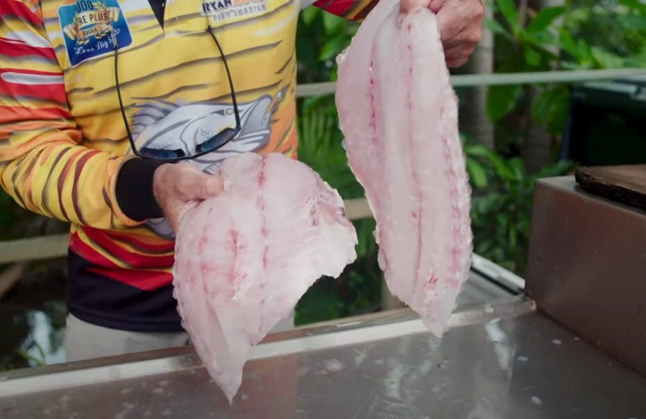 Nannygai (Scarlet Sea Perch) fillets