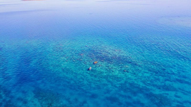 Fishing the Great Barrier Reef during the Coral Trout Bonanza