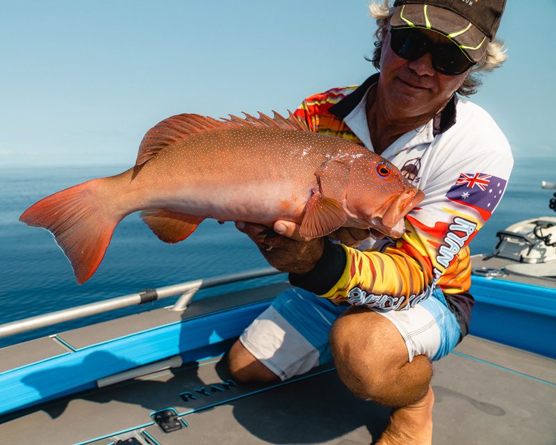 Best eating size coral trout