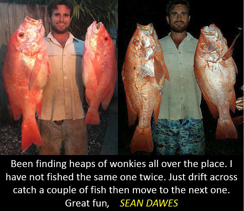 Catching big fish on Wonky holes