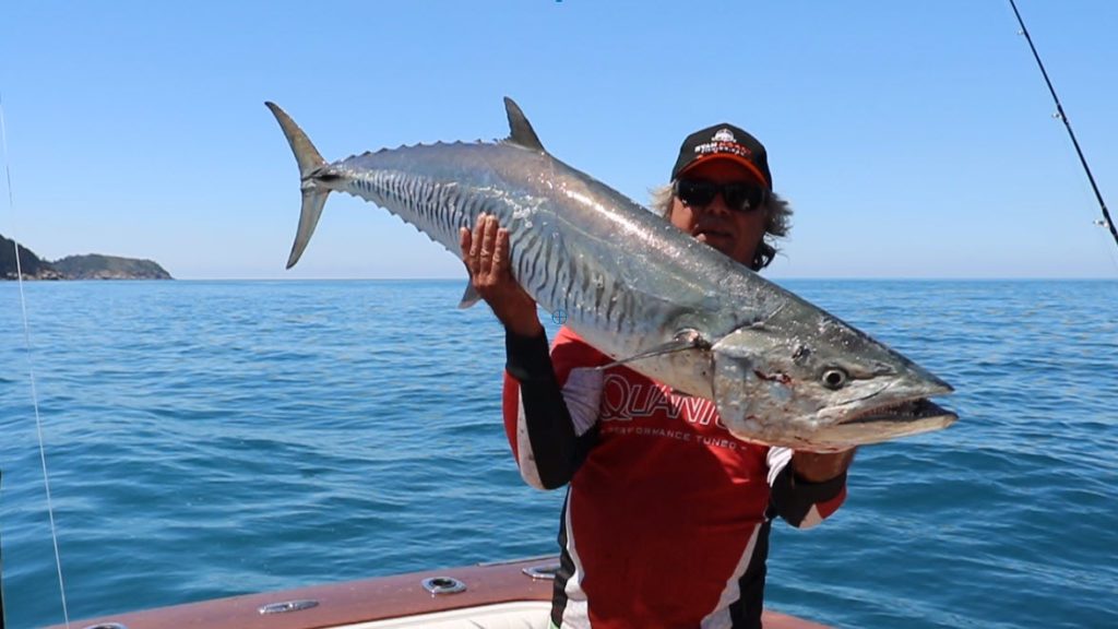 A great way to troll for mackerel is using a garfish rig.