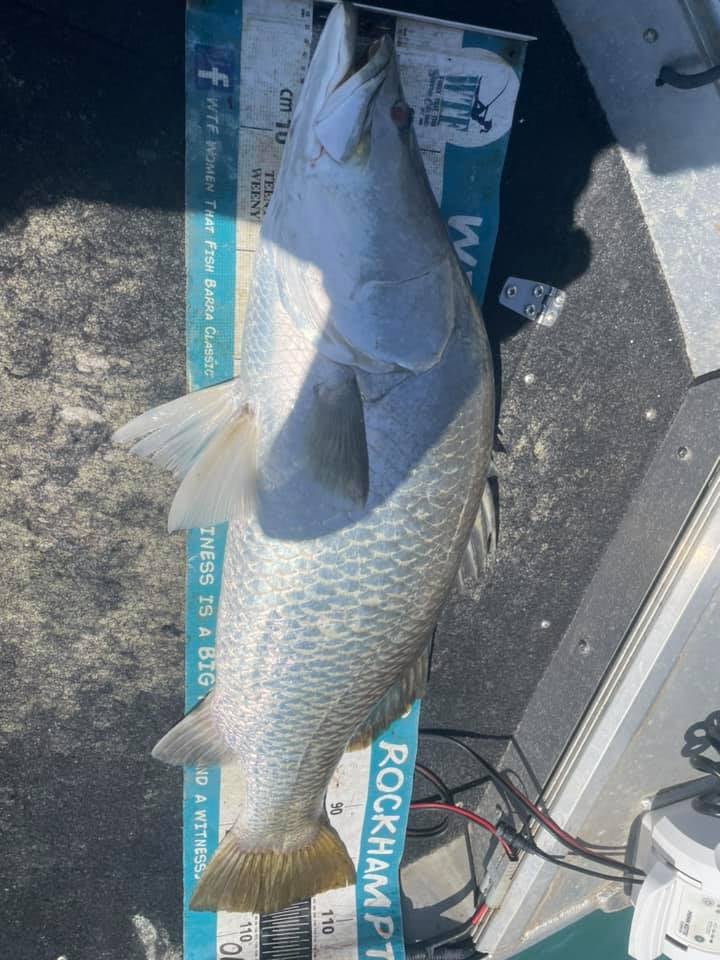 Steve Nuttall barramundi fish 107cm