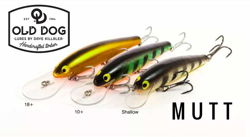 Timber lures like the MUTT are tried and proven to catch big fish