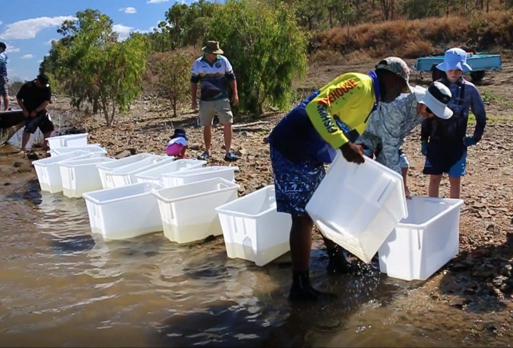 Volunteers working hard releasing barra fingerlings into the Ross River Dam