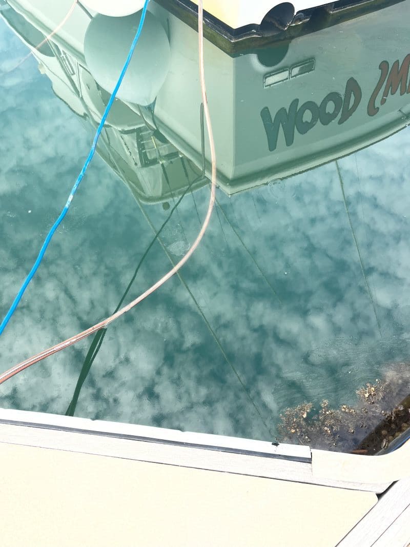 Diesel slick on water in marina