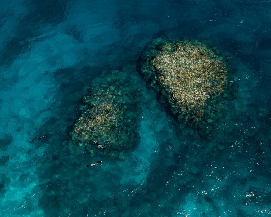 People snorkellying around coral bommies on the great barrier reef