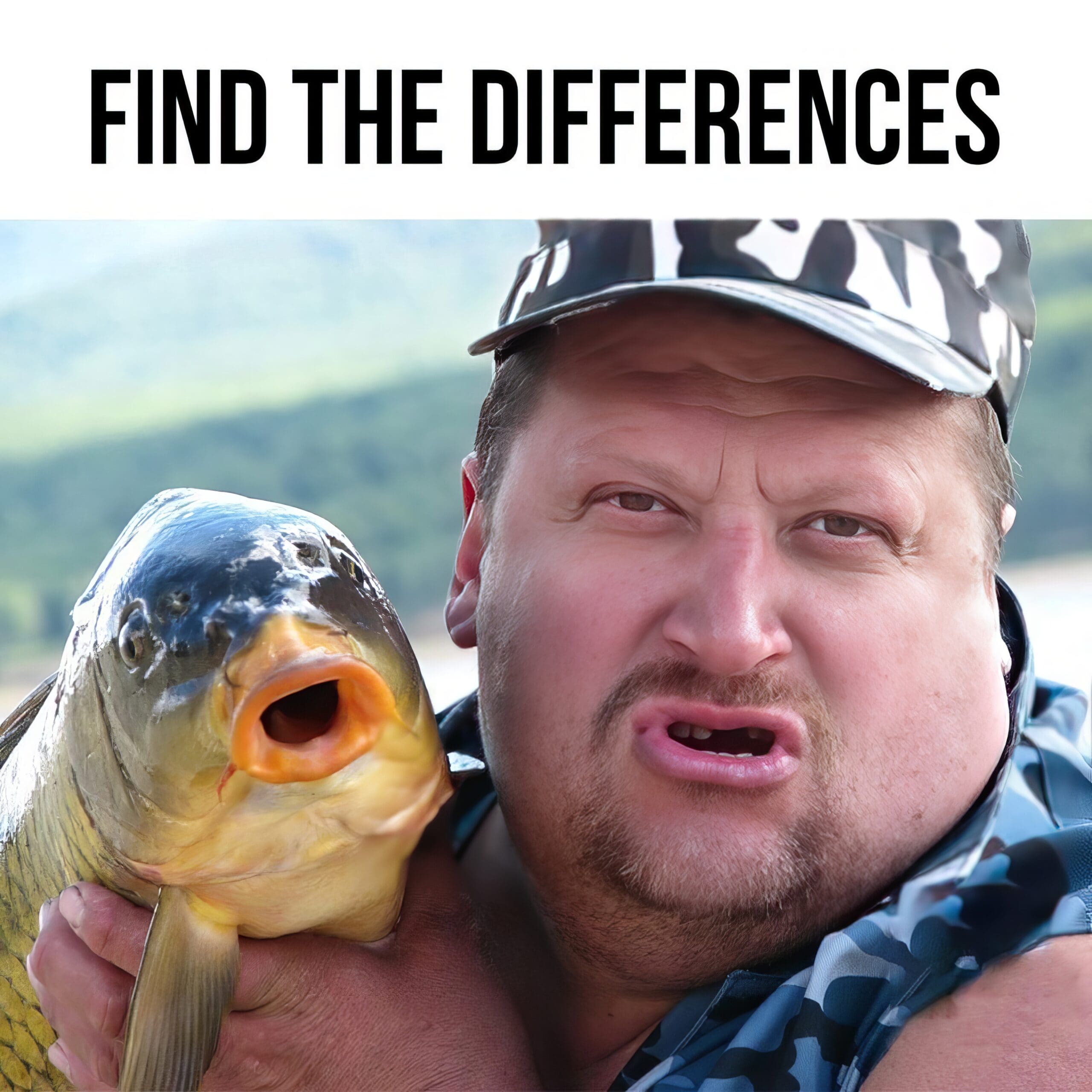 50 Fish Memes That Will Have You Reeling With Laughter