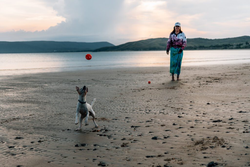 Dog chasing ball on beach