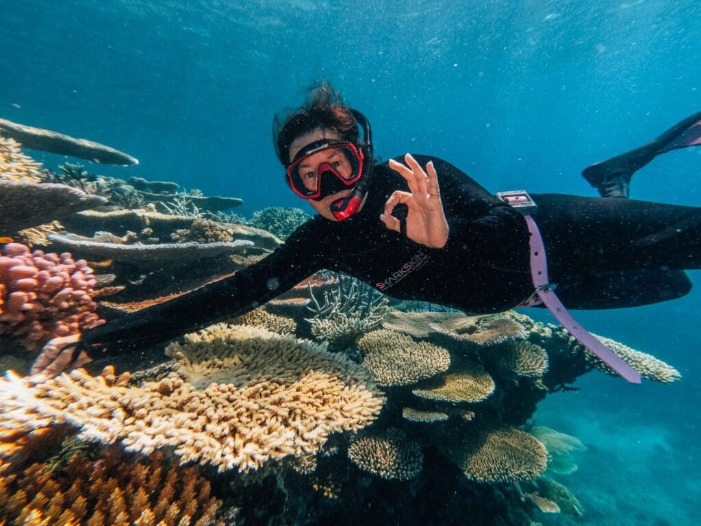 the best coral on the GBR (Great Barrier Reef)