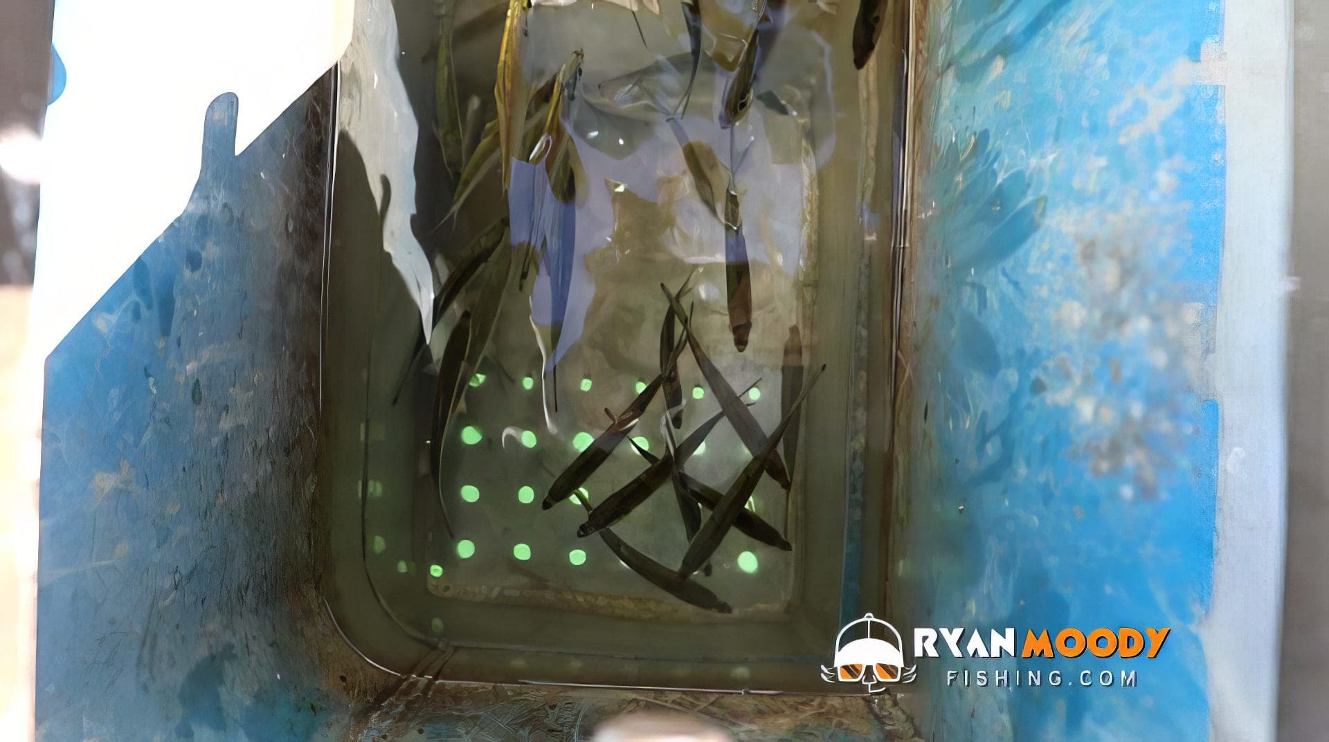 BUILD your own DIY Live bait tank - - - FULL TUTORIAL 