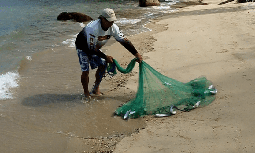 Bottom pocket cast net is the right cast net for chasing mullet in the shallows