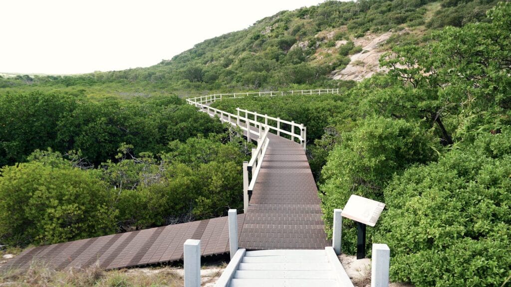 Walking tracks on Lizard Island