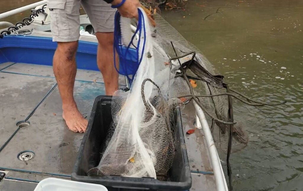 Snag in cast net