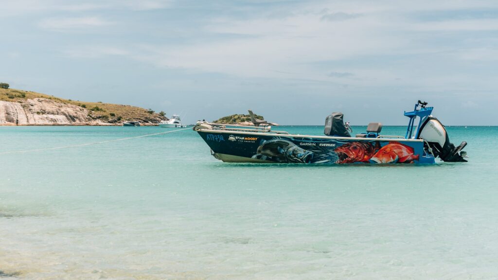 Blue boat in Watson's bay