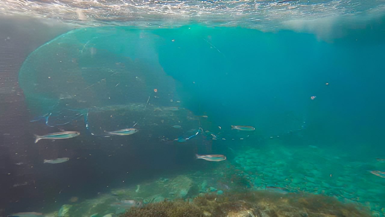 Choosing the right cast net for your target bait species - Ryan Moody ...