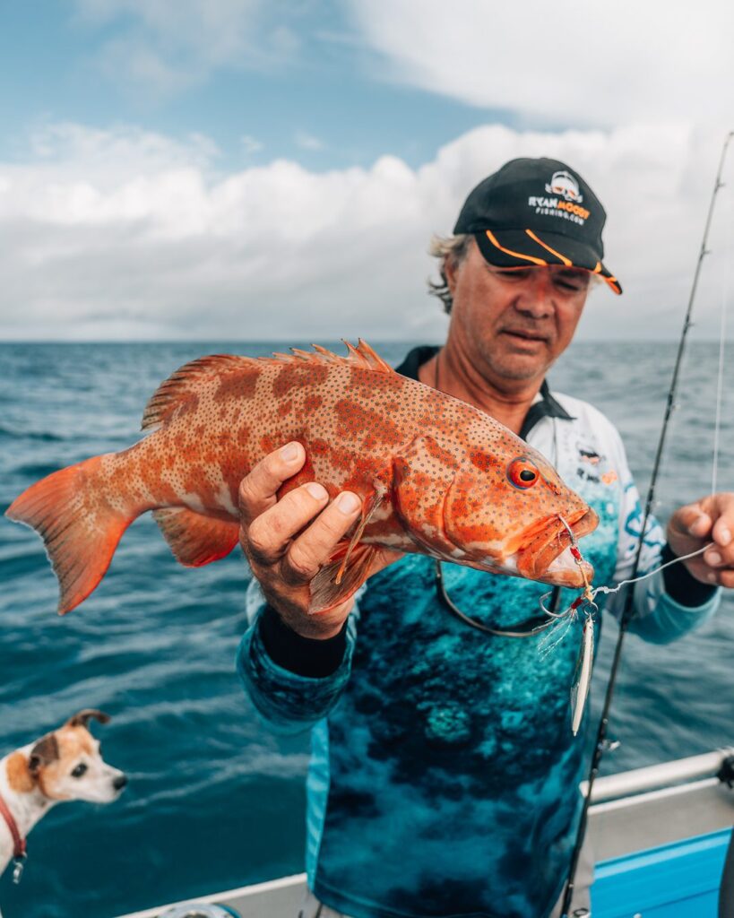 Coral trout caught on Levitator jig