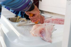 How To Sharpen A Fish Filleting Knife