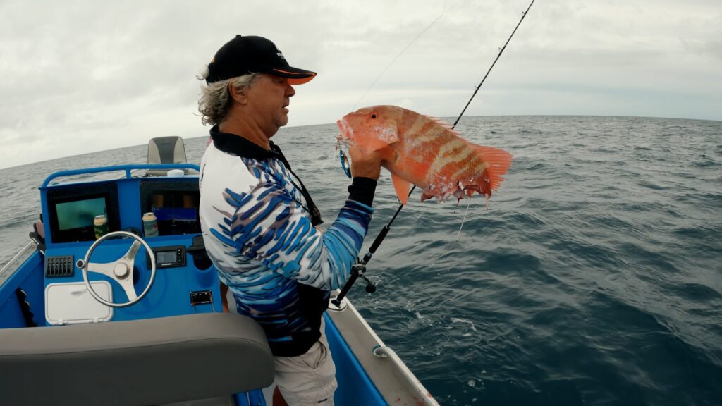 Shark deparadation. Only reeled in half a fish.