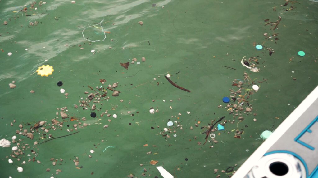 Micro plastics floating on water found during while circumnavigating Lizard Island, north Queensland