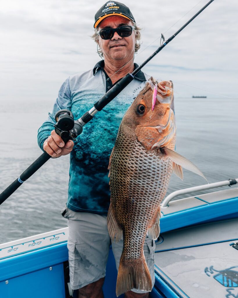 Golden snapper on the great barrier reef