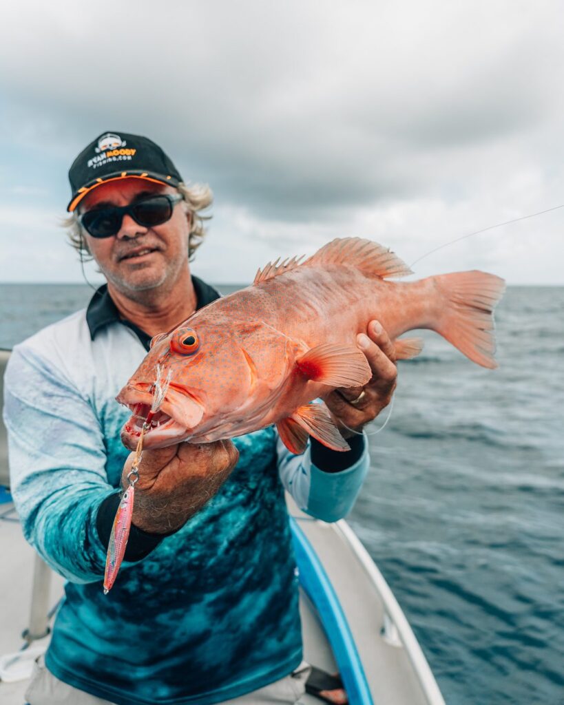 Coral trout caught Slow pitch jigging