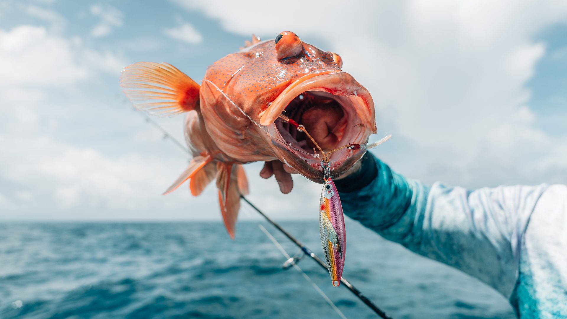 Slow pitch jigging results in this delicious coral trout