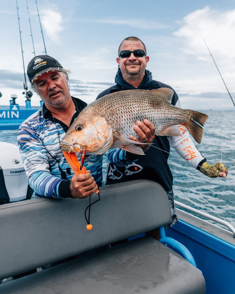 Golden Snapper love this kind of country