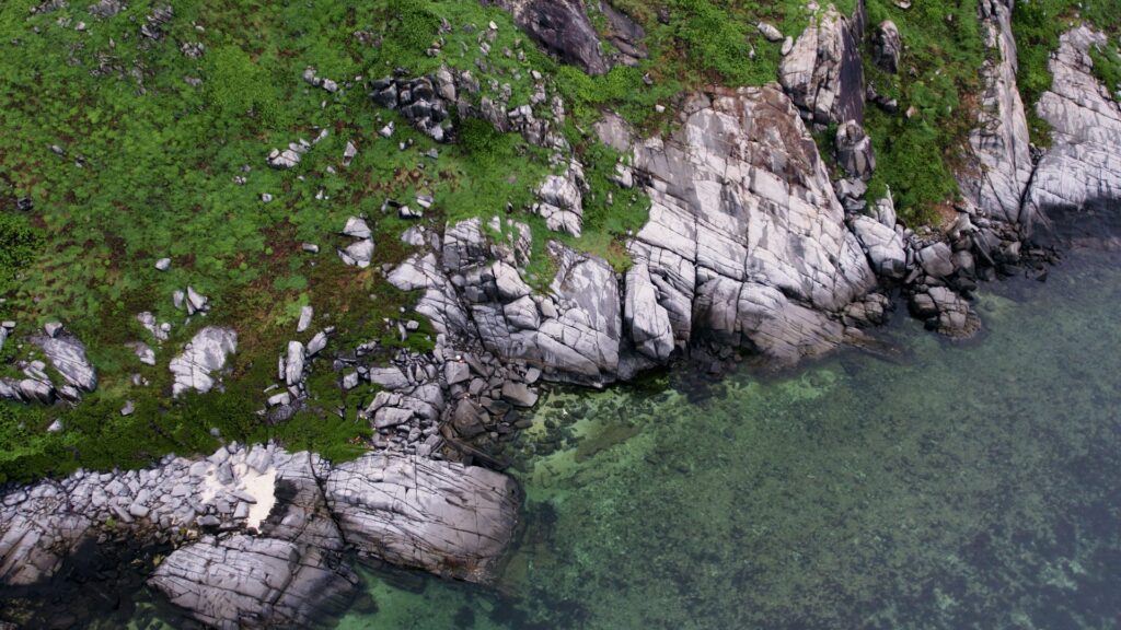 Howick Island cliffs - land of the Vikings.