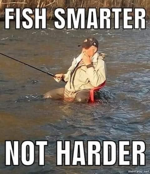 Fish smarter not harder meme