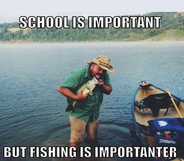 fishing meme