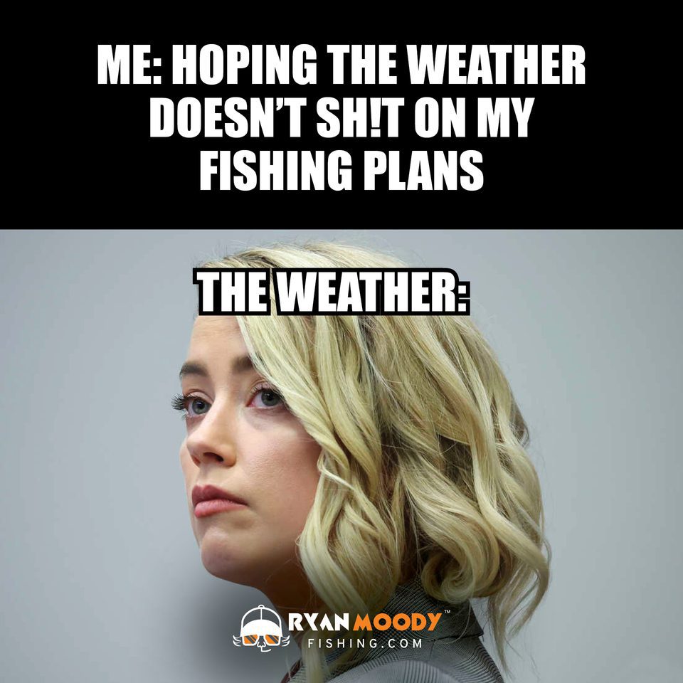 Amber heard the weather