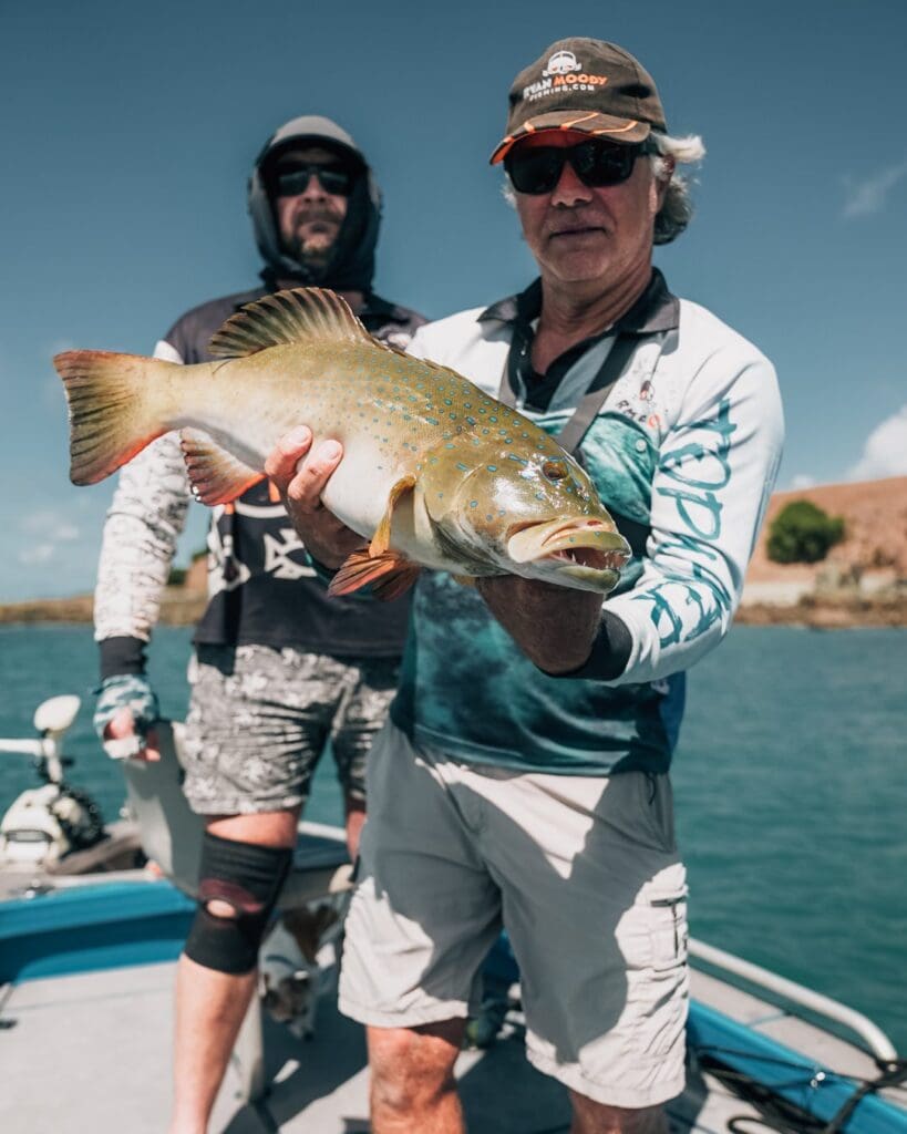 Duke Islands coral trout