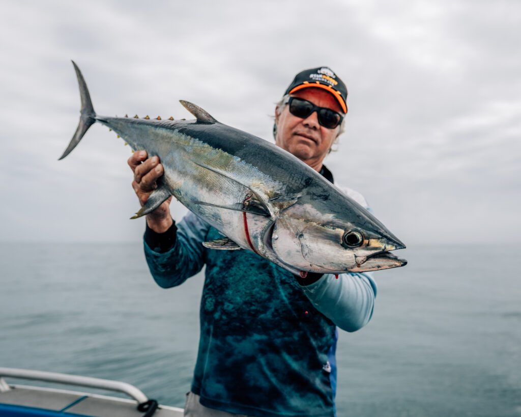 Lures or live bait for tuna