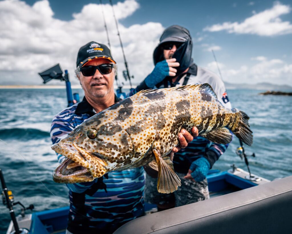 Gold spot cod are good eating.