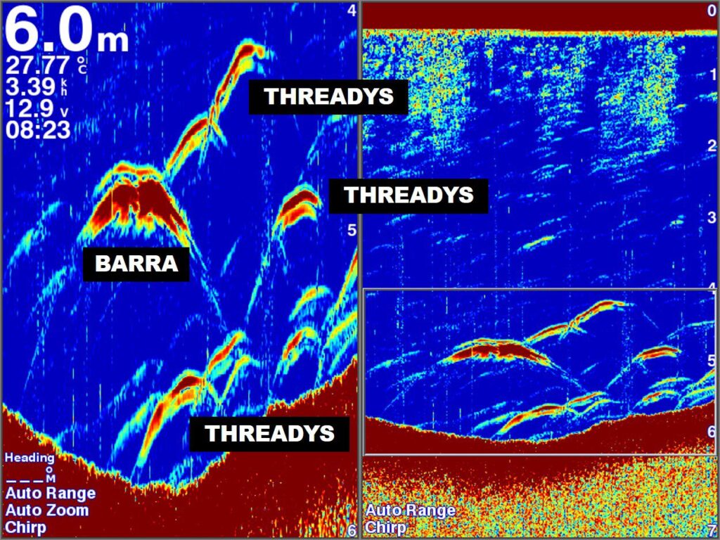 Exploring new fishing locations for barra and threadfin