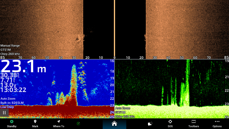 sounder shot of fish on isolated rock