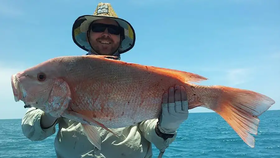 Nick Fil testimonial