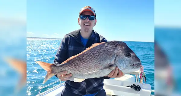 Shane Clifton testimonial