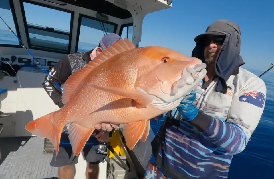 Max Hogan testimonial