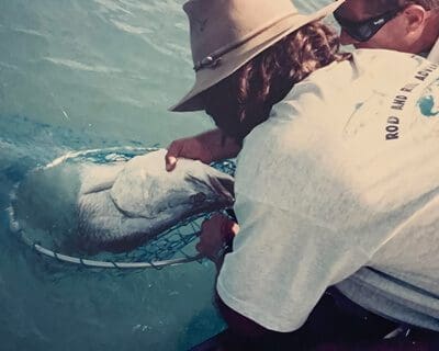 First-Barra-on-Braid-400px.jpg